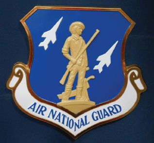 Air National Guard Wall Seal